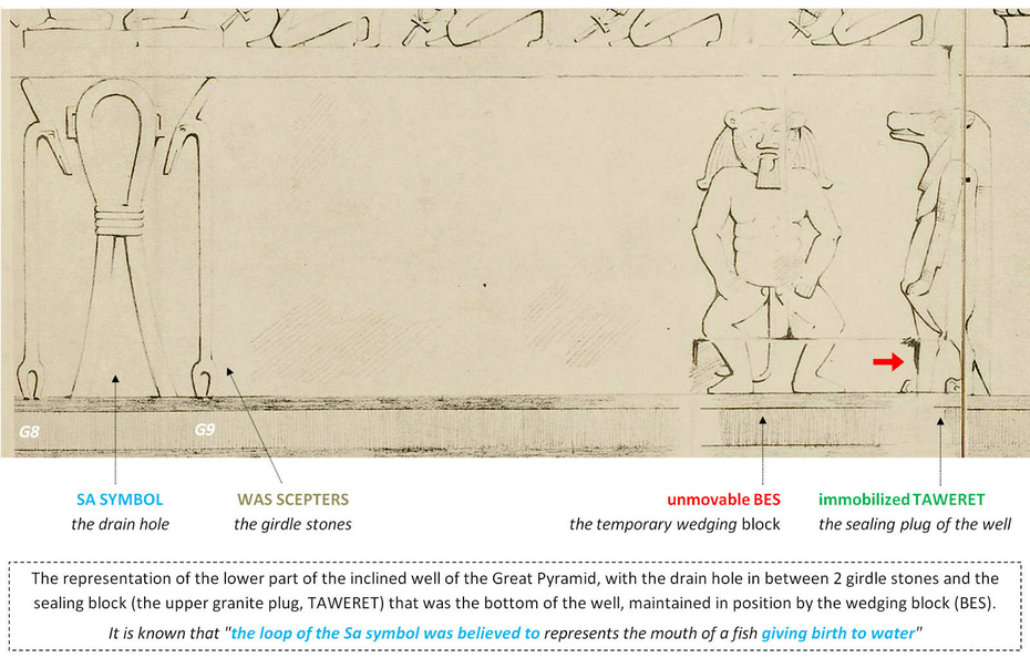 Was Scepter Sceptre Sa Symbol Papyrus Hatshepsut Birth Scene Bes Taweret Edouard Naville Ancient Egypt